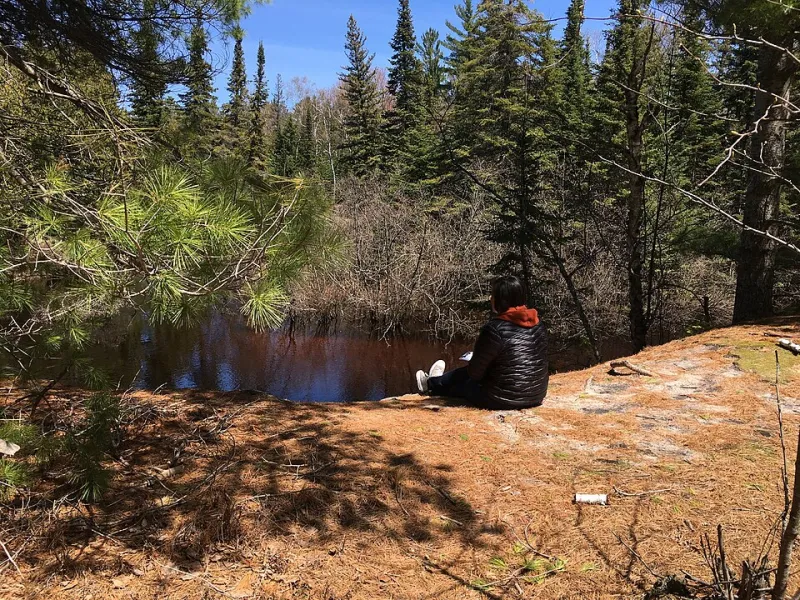 The Pause That Protects: Making the GamStop Cooling-Off Period Work in Your Favour